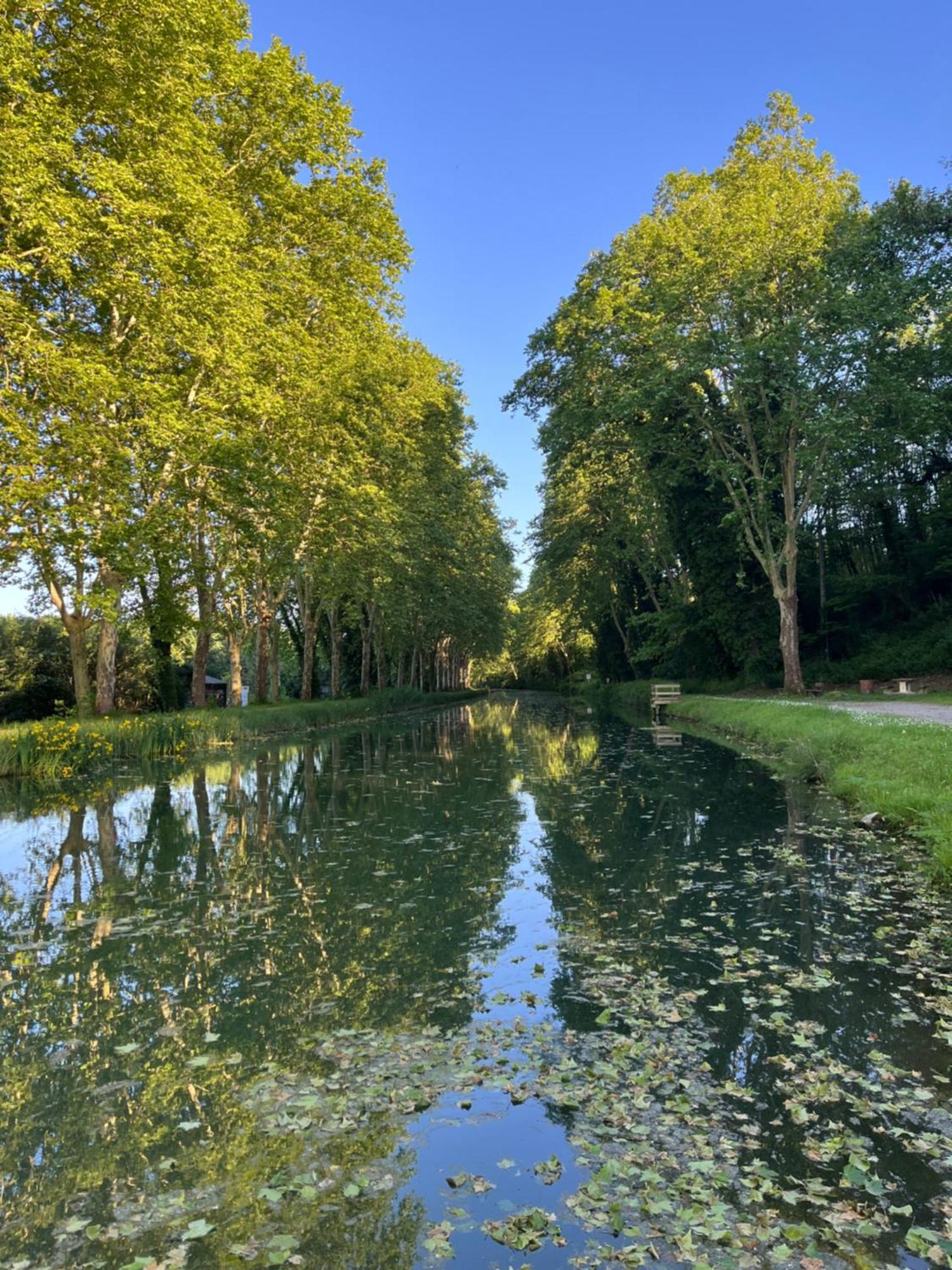 Gite Le Coup De Pompe Ecluse 47 Meilhan-sur-Garonne Exteriör bild